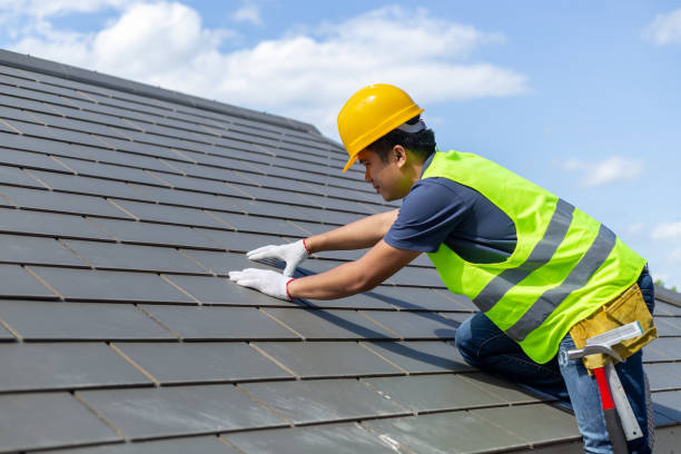 Best Roof Repair Services  in Ddanelle, AR