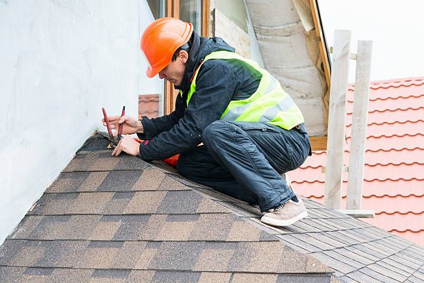 Best Roof Leak Repair  in Ddanelle, AR