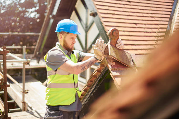 Best Roof Maintenance Services  in Ddanelle, AR