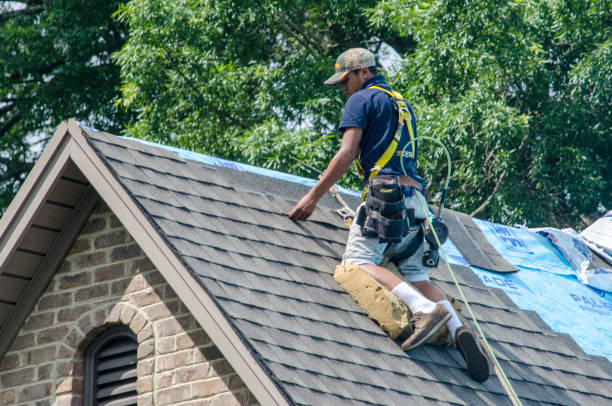 Best Roof Gutter Cleaning  in Ddanelle, AR